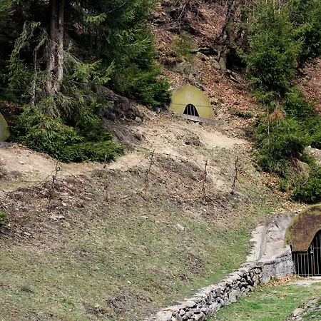 коло гір Hotel *